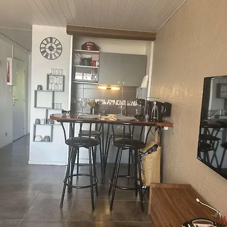 Appt Deux Pieces 4 Couchages Cap D'agde Ct455-146 *