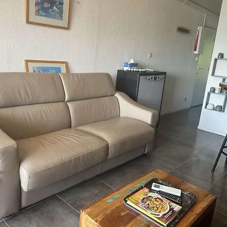 شقة Appt Deux Pieces 4 Couchages Cap D'agde Ct455-146